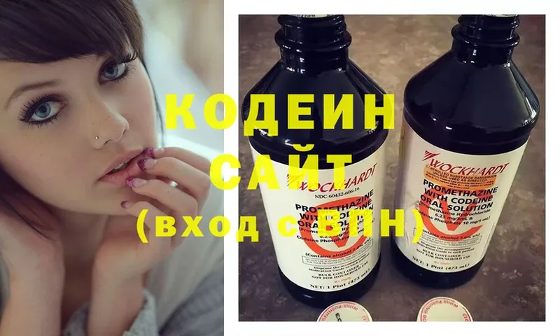 Кодеиновый сироп Lean напиток Lean (лин)  mega маркетплейс  Неман  где купить наркоту 